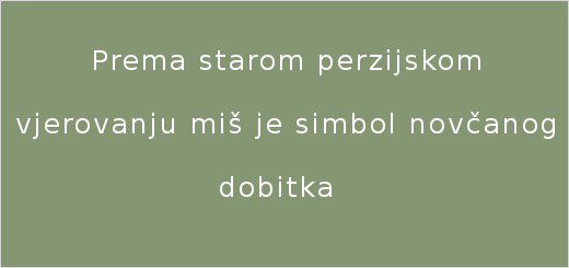 Što znači sanjati miša?